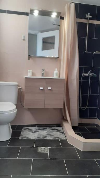βαγγέλης Apartment Kardítsa
